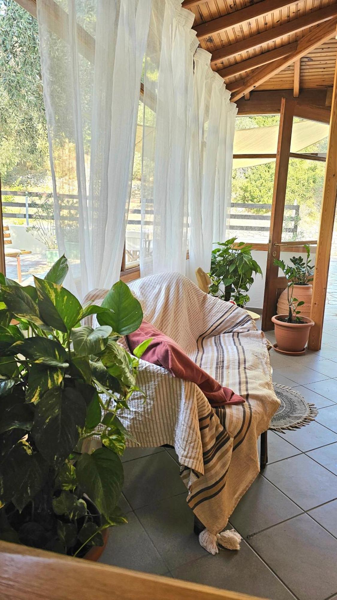 Pension Oasis Votsi  Exteriör bild